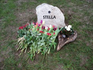 Stellas sten på agilitybanen, februar 2016